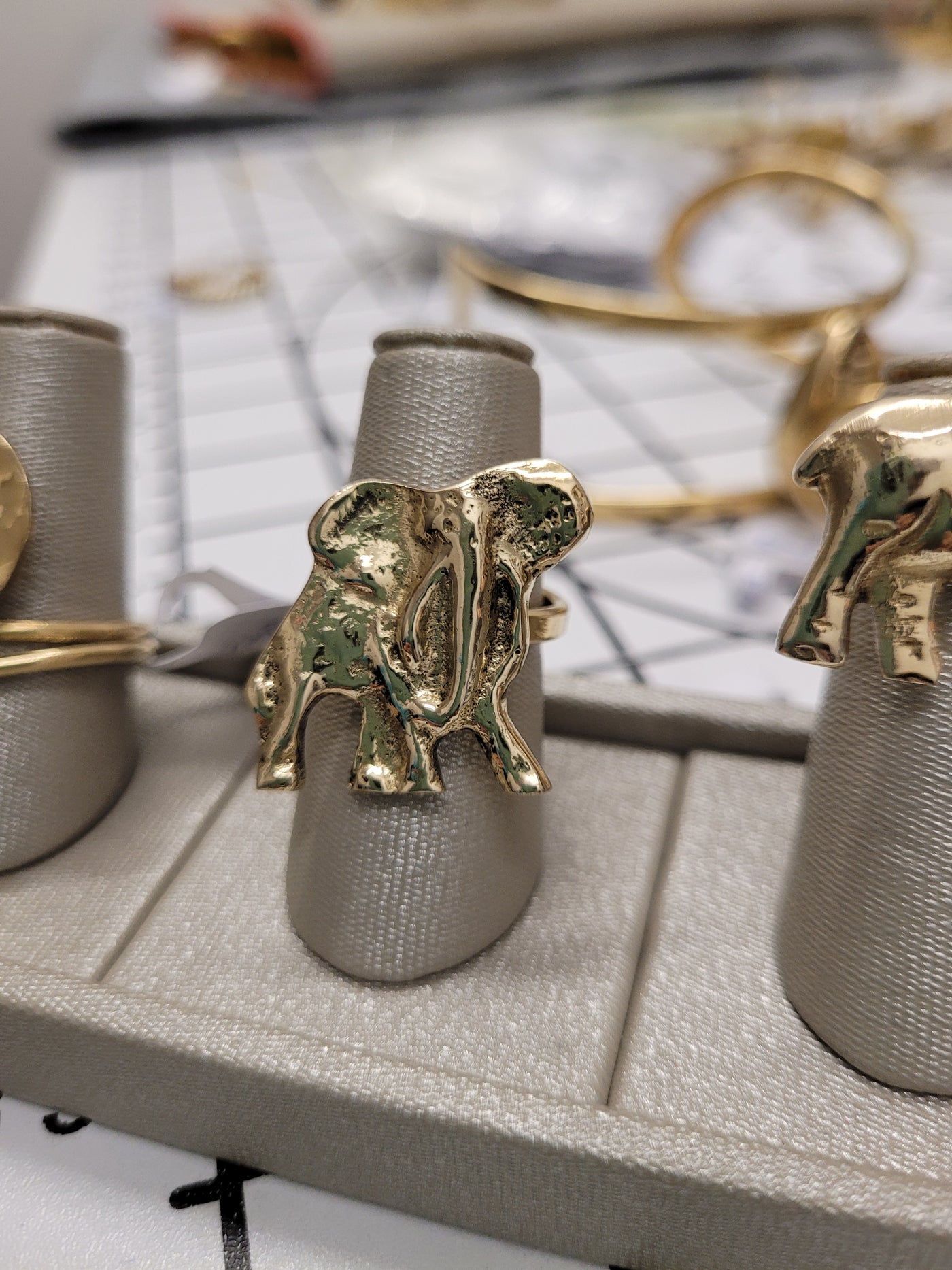 Elephant Rings Kenya